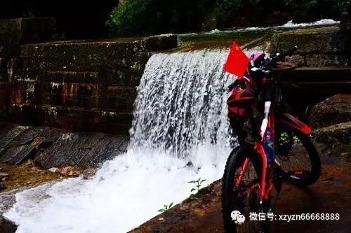 全球手机出货量创十年新低后反弹 冬去春来